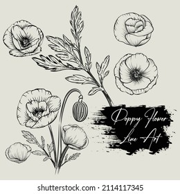 Vintage style hand drawn poppy flower set - design elements - line art