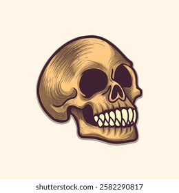 
Vintage style Human skull design