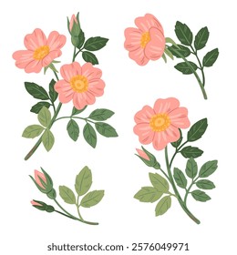 Vintage style illustration of briar rose flowers. Romantic vector set for wedding invitation or greeting cards. Beautiful rose hip branches