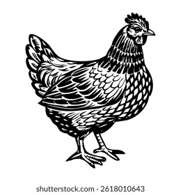 A vintage style illustration of hen
