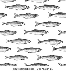 Vintage Style Sardines Seamless Pattern. Vector Hand Drawn Fish Background. High Quality Old Fashion Illustration