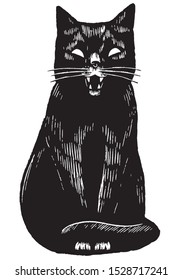 Vintage style vector illustration. Angry black cat. Hand drawn graphic picture. Digital sketches of pet animals. Wild life drawing. Design element for poster, print, postcard, t-shirt etc.