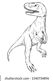 Vintage style vector illustration. Realistic dinosaur in sketch style. Tyrannosaurus rex, raptor. Retro outline picture. Element for design poster, print, postcard, sticker, banner, t-shirt etc.