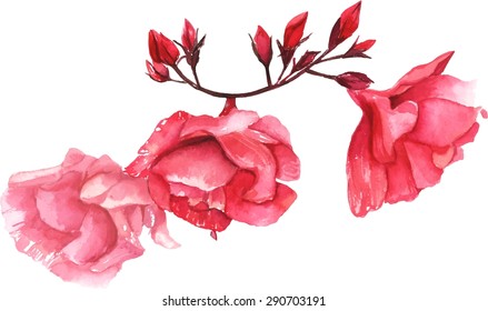 A vintage style watercolour drawing of a branch of pink peonies, scalable vector graphic
