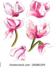 A vintage style watercolour drawing of pink flowers, scalable vector graphic