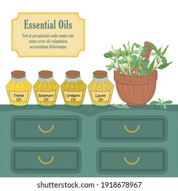 Vector de farmacia de estilo vintage con aceites esenciales de hierbas aromáticas. Thyme, Oregano, Rosemary y Laurel en los viales de vidrio y las mismas herbales en el Mortero. Cajero de moda y cartón.