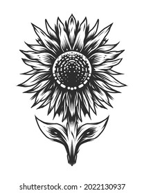 Vintage sun flower with two leaf in monochrome style isolated vector illustration concept