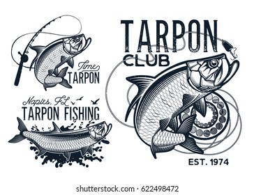 Vintage tarpon fishing emblems, labels and design elements