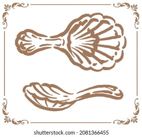 Vintage tea caddy spoon. Vector illustration.