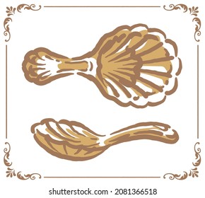 Vintage tea caddy spoon. Vector illustration.