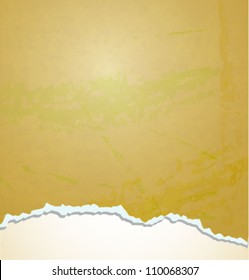 Vintage Teared Paper