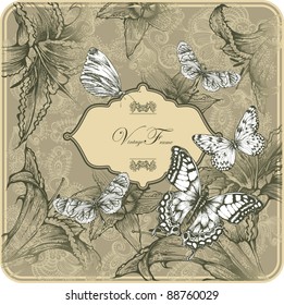Vintage template and butterflies   blooming lilies  Vector illustration 