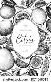 Vintage template. Ink hand drawn design with citrus fruits. Vector illustration. Highly detailed exotic fruit sketch. Engraved style drawing.