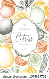 Vintage template. Ink hand drawn design with citrus fruits. Vector illustration. Highly detailed exotic fruit sketch. Engraved style drawing.