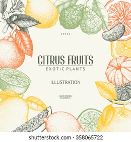 Vintage template. Ink hand drawn design with citrus fruits in pastel colors. Vector illustration of highly detailed citrus fruits sketch