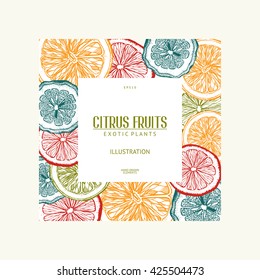 Vintage template. Ink hand drawn design with citrus fruits in pastel colors. Vector illustration with highly detailed exotic plants sketch