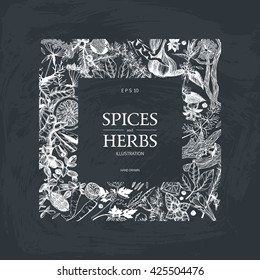  Vintage template. Ink hand drawn design with spice and herbs. Vector illustration with highly detailed aromatic plants sketch  on chalkboard