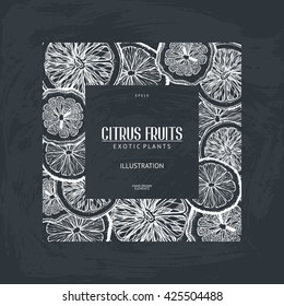 Vintage template. Ink hand drawn design with citrus fruits on chalkboard. Vector illustration with highly detailed exotic plants sketch