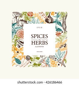  Vintage Template. Ink Hand Drawn Design With Spice And Herbs. Vector Illustration With Highly Detailed Aromatic Plants Sketch In Pastel Colors
