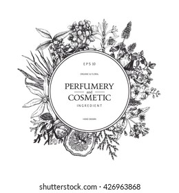 Vintage template. Ink hand drawn design with aromatic plants and  fruits isolated on white. Vector illustration with highly detailed perfumery and cosmetics ingredients