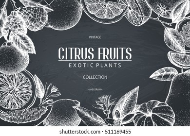 Vintage template. Ink hand drawn design with citrus fruits on chalkboard. Vector illustration with highly detailed exotic plants sketch.