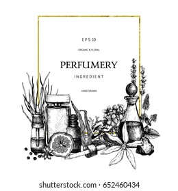 Vintage template. Ink hand drawn design with aromatic plants and fruits. Vector illustration with highly detailed perfumery and cosmetics ingredients sketch.