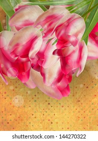 Vintage text frame with tulips, old paper background. And also includes EPS 10 vector
