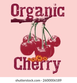 Vintage text print for cherry fruits, vintage print design, cherry print design for t-shirt, sweatshirt, fruits patterns for summer vibes, Cherry Slogan T-shirt Design Illustration, 