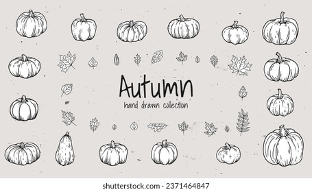 Vintage Thanksgiving collection of hand drawn line sketches, cute pumpkins, oak leaves, and gourds. Ideal for autumn decor and retro autumn design, essence of the season. Not AI