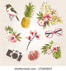 vintage things set-birds,tropical flowers,shell,sunglasses,camera on grunge background