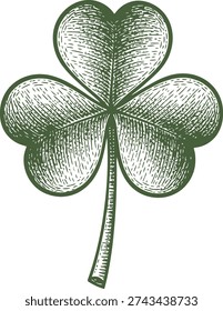 Vintage Three Leaf Clover Shamrock Engraving Style Botanical Illustration