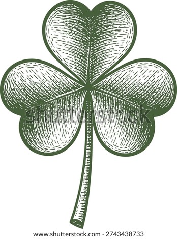 Vintage Three Leaf Clover Shamrock Engraving Style Botanical Illustration