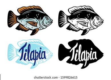 Vintage Tilapia fish silhouette lettering retro isolated vector illustration on a white background.