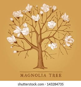 Vintage tree of a blossoming magnolia