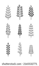 Vintage tree branches vector set in hand drawn style with leaves and flowers isolated on white background. Set of different linear laurel leaves. Wheat and olive wreaths for victory, triumph.