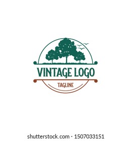 vintage tree design logo vector