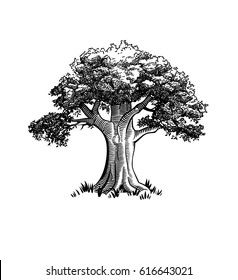 Vintage Tree Illustration