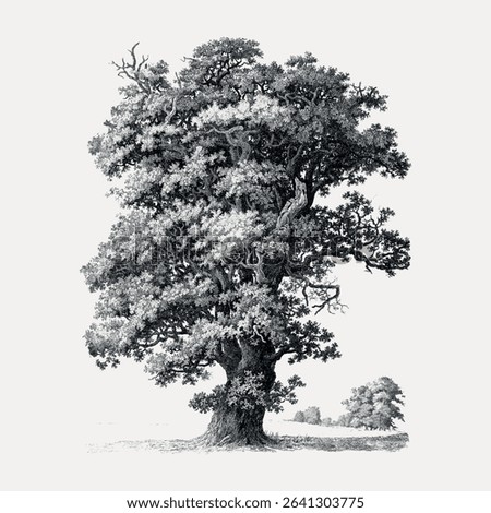 Vintage tree illustration, vector element. 