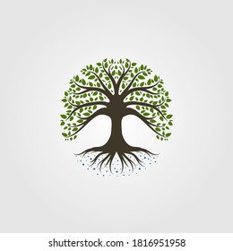 vintage tree logo vector illustration design