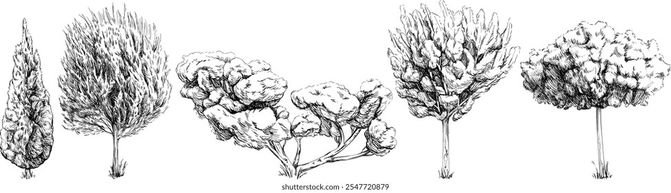 Vintage tree sketch collection of hand drawn isolated on white background.