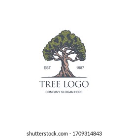 Plantilla de diseño del logotipo de ilustración vectorial de árbol vintage, línea dibujada a mano con color digital, ilustración vectorial