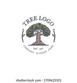 Vintage tree vector illustration logo design template, hand drawn line with digital color, vector illustration