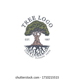 Vintage tree vector illustration logo design template, hand drawn line with digital color, vector illustration