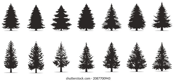 Vintage trees and forest silhouettes set in monochrome style. Set. Silhouette of pine trees.