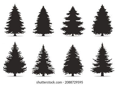 Vintage trees and forest silhouettes set in monochrome style. Set. Silhouette of pine trees.
