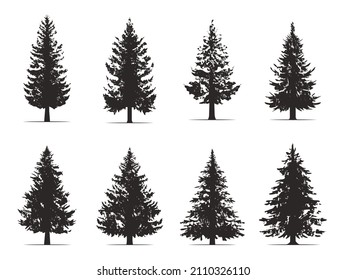 Vintage trees and forest silhouettes set in monochrome style. Set. Silhouette of pine trees.