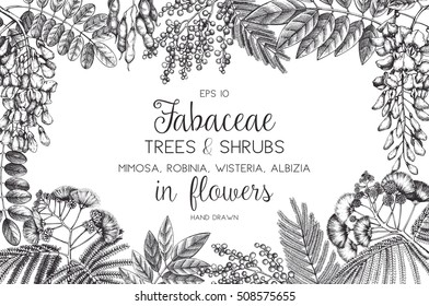 Vintage trees and shrubs in flowers illustration. Valentine's Day or Wedding design template on chalkboard. Vector greeting card with hand drawn wisteria, black locust, silver wattle, albizia sketch. 