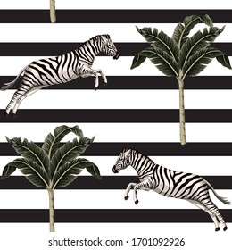 Vintage tropical banana tree, zebra running wildlife animal floral seamless pattern striped background. Exotic safari wallpaper.