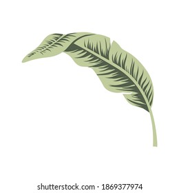 Vintage tropical leaf for wallpaper design. Exotic  wedding floral decoration.  Holiday decoration. Fashion print. Vintage background poster.
