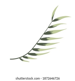 Vintage tropical leaf for wallpaper design. Exotic  wedding floral decoration.  Holiday decoration. Fashion print. Vintage background poster.